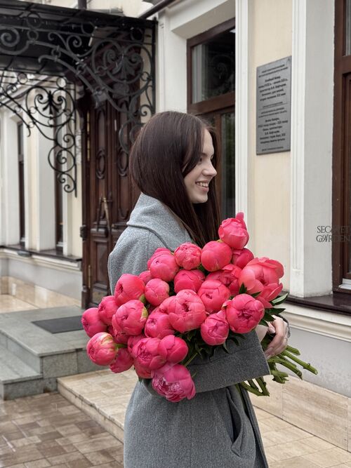 Озапка из 31 пиона корал шарм
